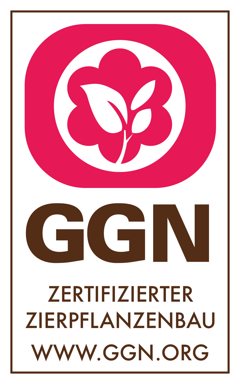 ggn