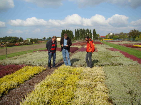 DSC01468_neu.jpg